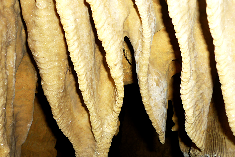 Grotte Du Nord 